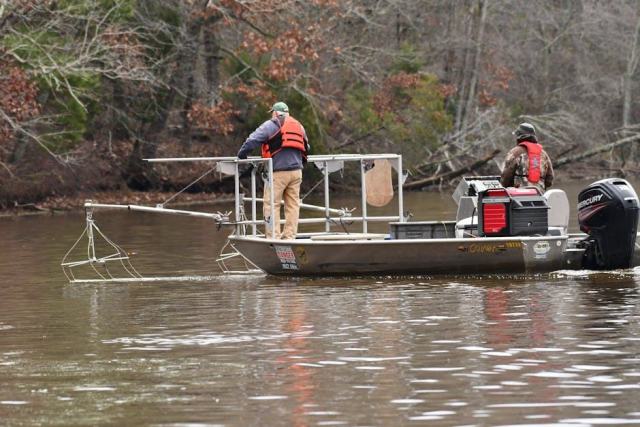 Florence, Alabama Housing Market: Your Buying Guide