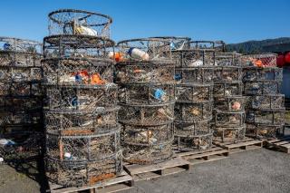 Fairbanks Real Estate: Homes for Sale in Fairbanks, Alaska