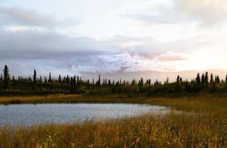 Kenai Real Estate: Homes for Sale in Kenai, Alaska