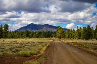 Flagstaff Real Estate: Homes for Sale in Flagstaff, Arizona
