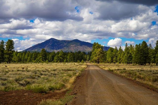 Flagstaff, Arizona Housing Market: Your Buying Guide