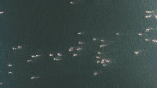 Sherwood Real Estate: Homes for Sale in Sherwood, Arkansas