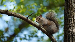 Texarkana Real Estate: Homes for Sale in Texarkana, Arkansas