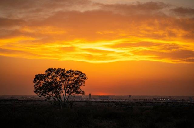 San Bernardino, California Housing Market: Your Buying Guide