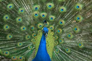 Gainesville Real Estate: Homes for Sale in Gainesville, Florida