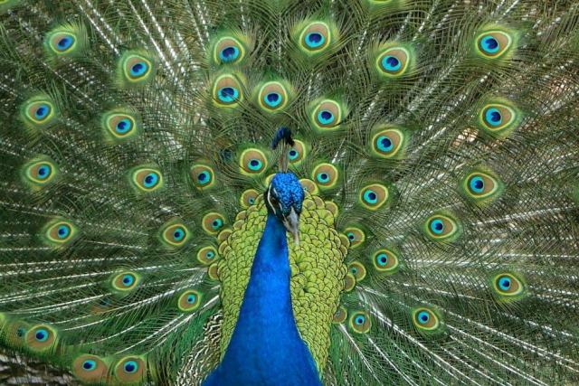 Gainesville, Florida Housing Market: Your Buying Guide