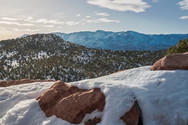 Johns Creek, Georgia Housing Market: Your Buying Guide