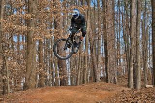 Roswell Real Estate: Homes for Sale in Roswell, Georgia