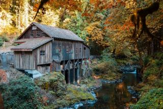 Cedar Falls Iowa Real Estate: Homes & Market Insights