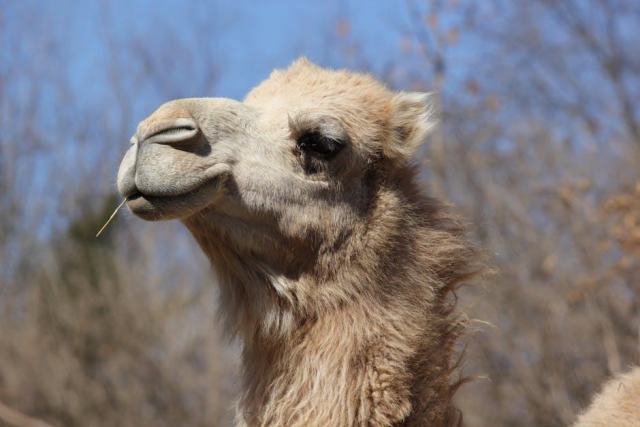 Kansas City, Kansas Housing Market: Your Buying Guide