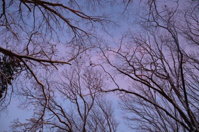 Annapolis, Maryland Housing Market: Your Buying Guide