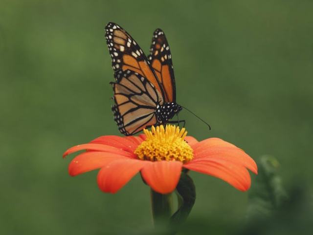 Bel Air, Maryland Housing Market: Your Buying Guide