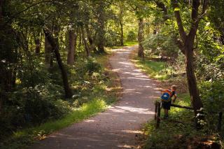 Bethesda, MD Real Estate: Homes, Prices & Neighborhood Guide