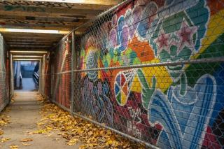 Cambridge MA Real Estate: Condos, Homes & Investment Guide