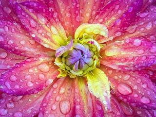 Lansing MI Real Estate: Capital City Homes & Market Guide