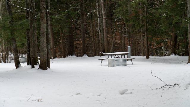 Warren, Michigan Housing Market: Your Buying Guide