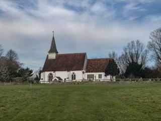 St. Louis Park MN Real Estate: Urban Suburb Homes & Guide