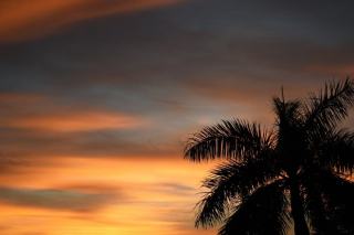 Gulfport MS Real Estate: Gulf Coast Homes & Market Guide