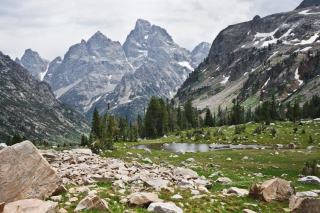 Jackson MS Real Estate: Affordable Homes & Investment Guide