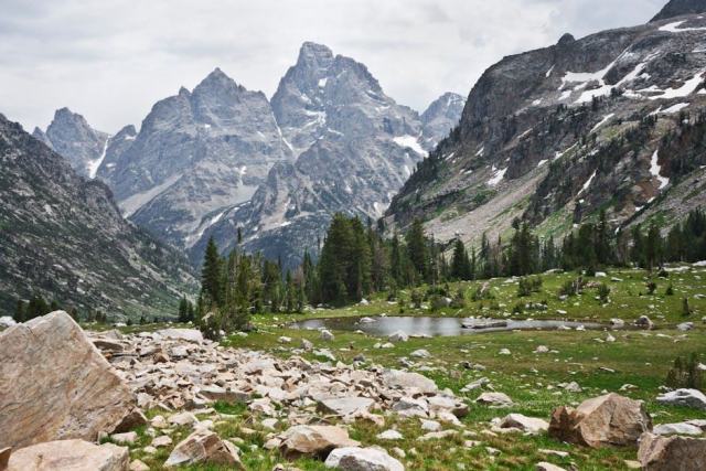 Jackson, Mississippi Housing Market: Your Buying Guide