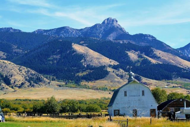 Bozeman, Montana Housing Market: Your Buying Guide