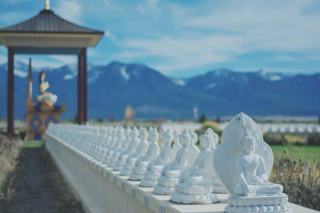 Miles City MT Real Estate: Homes, Prices & Market Guide