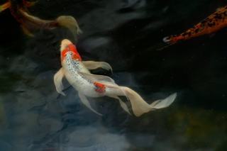 Lincoln, NE Real Estate: Prices, Rentals & Buying Strategy