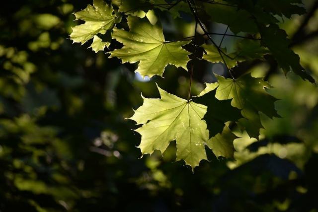 Santa Fe, New Mexico Housing Market: Your Buying Guide