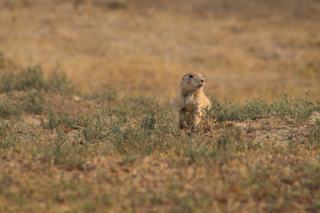 Wahpeton ND Real Estate: Homes on the Minnesota Border