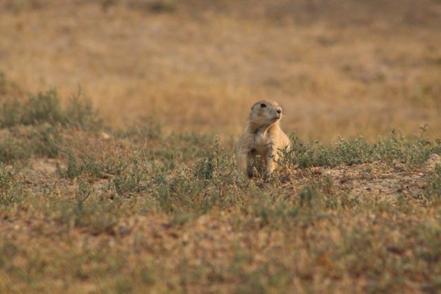 Wahpeton, North Dakota Housing Market: Your Buying Guide