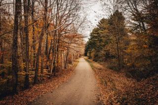 Cuyahoga Falls OH Real Estate: Homes in Summit County