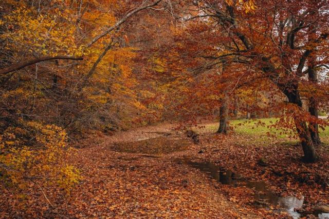 Middletown, Ohio Housing Market: Your Buying Guide