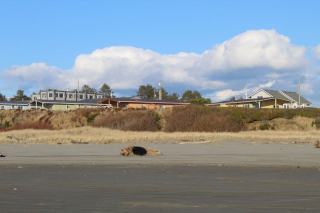 Corvallis Real Estate: OSU College Town Homes & Prices