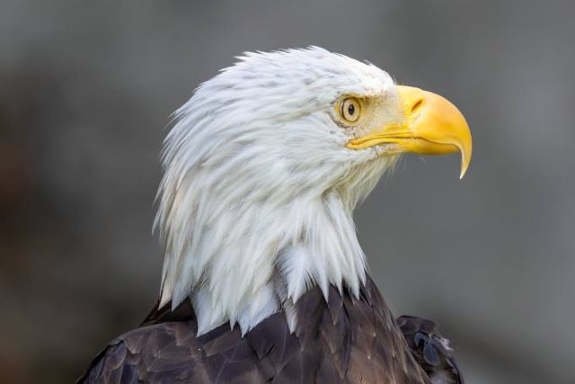 North Providence, Rhode Island Housing Market: Your Buying Guide