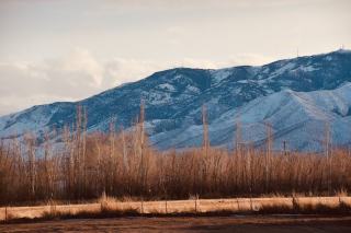 Lehi UT Real Estate: Homes for Sale & Silicon Slopes Guide