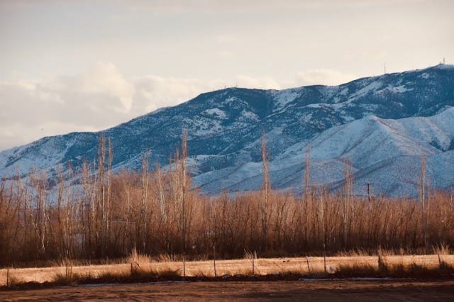 Lehi, Utah Housing Market: Your Buying Guide