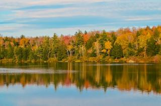 Barre VT Real Estate: Homes for Sale in Barre, Vermont