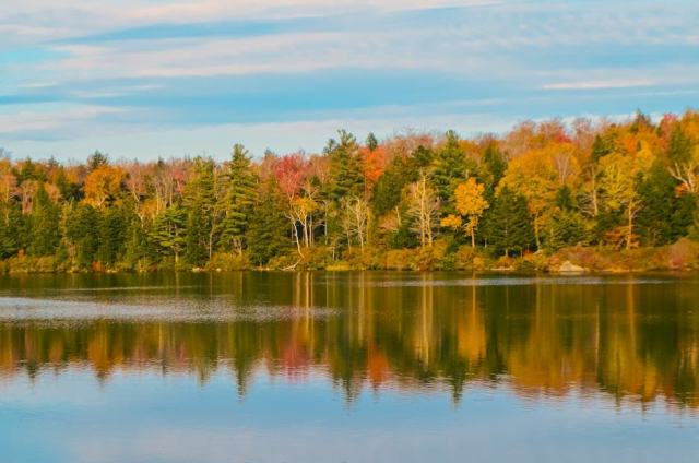 Barre, Vermont Housing Market: Your Buying Guide