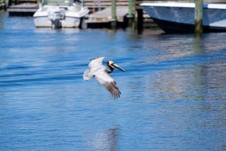 Mooresville NC Real Estate: Lake Norman Homes & Prices